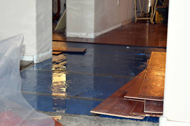 Professional Burst Pipe Cleanup technician working in Quinlan, TX